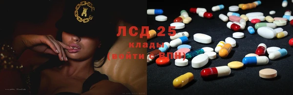 шишки Наволоки