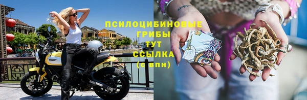 шишки Наволоки
