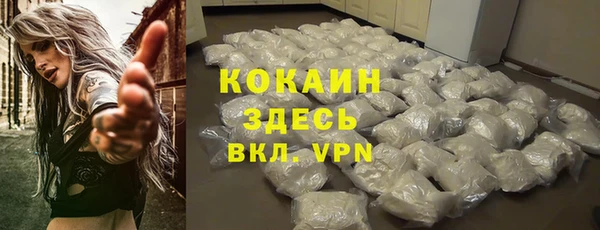 шишки Наволоки