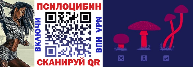 Псилоцибиновые грибы MAGIC MUSHROOMS Трубчевск