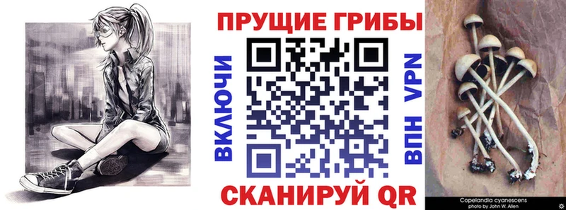 Псилоцибиновые грибы мухоморы  купить закладку  Трубчевск 